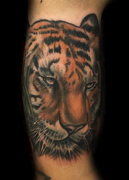 Tattoos - Color Tiger - 117602